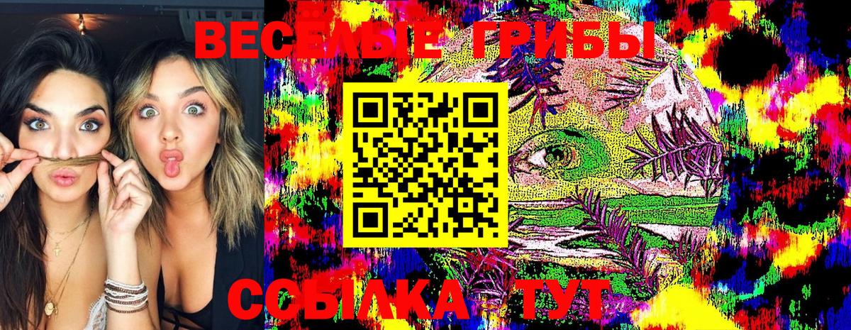 Кимовск  Галлюциногенные грибы Cubensis  Вход с VPN 