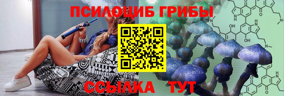Галлюциногенные грибы MAGIC MUSHROOMS Кимовск